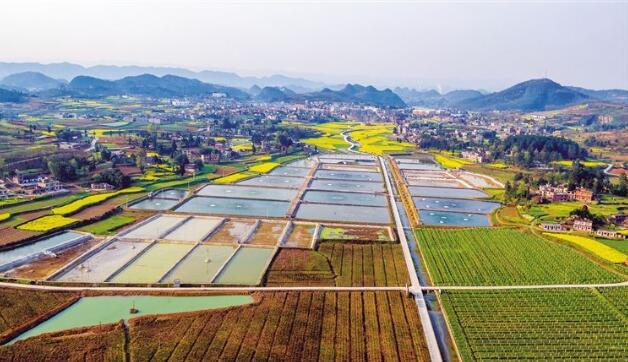 河北省政府出臺《關(guān)于做大做強農(nóng)業(yè)產(chǎn)業(yè)化龍頭企業(yè)的意見》，提出河北省農(nóng)業(yè)產(chǎn)業(yè)化發(fā)展目標(biāo)