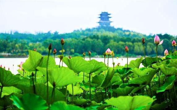 中國(guó)文旅產(chǎn)業(yè)的市場(chǎng)潛力龐大，未來(lái)市場(chǎng)空間有望達(dá)到2萬(wàn)億元