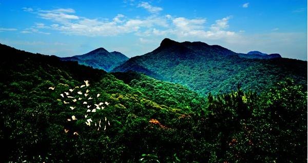 花都區(qū)出臺(tái)“白金十條”促進(jìn)旅游產(chǎn)業(yè)發(fā)展，最大一項(xiàng)政策獎(jiǎng)勵(lì)達(dá)2000萬(wàn)元???