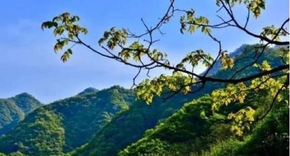 陜西省政府：印發(fā)《秦嶺生態(tài)環(huán)境保護(hù)行動(dòng)方案》，持之以恒有效保護(hù)秦嶺這一國(guó)家重要生態(tài)安全屏障