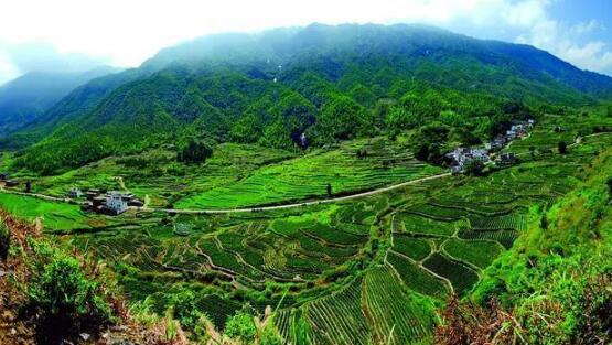 咸寧重振雄風(fēng)推進(jìn)茶文旅融合，做深做優(yōu)做強(qiáng)茶產(chǎn)業(yè)