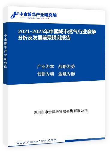 2021-2025年中國城市燃?xì)庑袠I(yè)競爭分析及發(fā)展前景預(yù)測報(bào)告