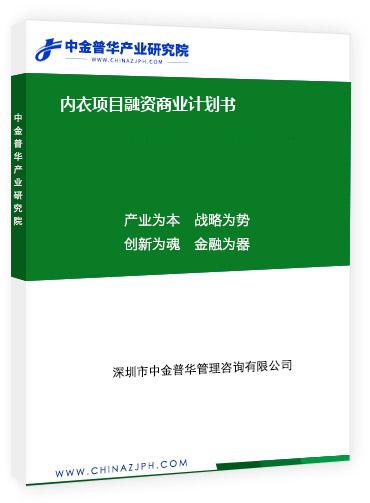 內(nèi)衣項目融資商業(yè)計劃書
